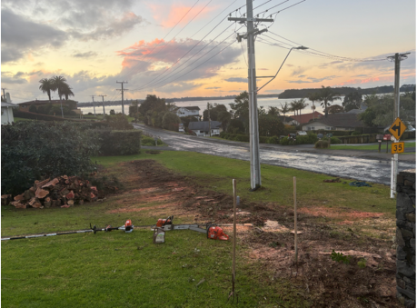 Site Clearing Tauranga