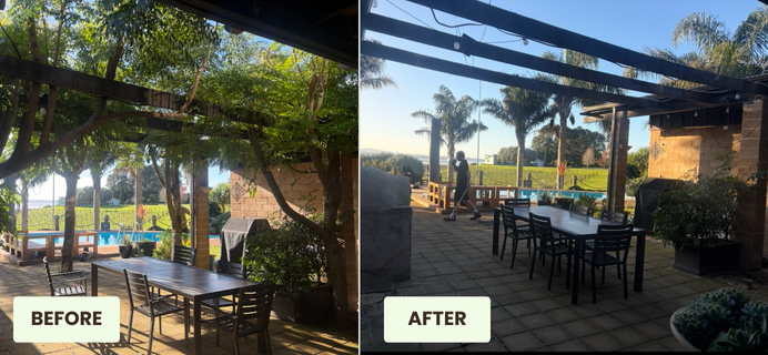 Tree Clearing Tauranga